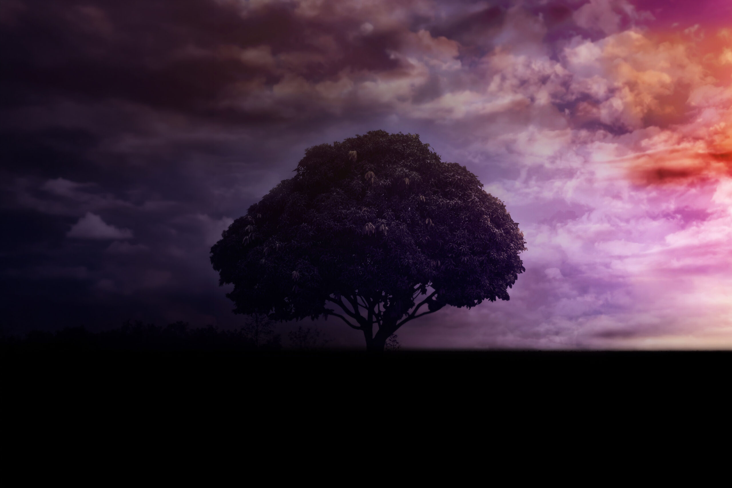 A solitary tree stands silhouetted against a dramatic sky with swirling purple, pink, and orange clouds, evoking a serene, contemplative mood.