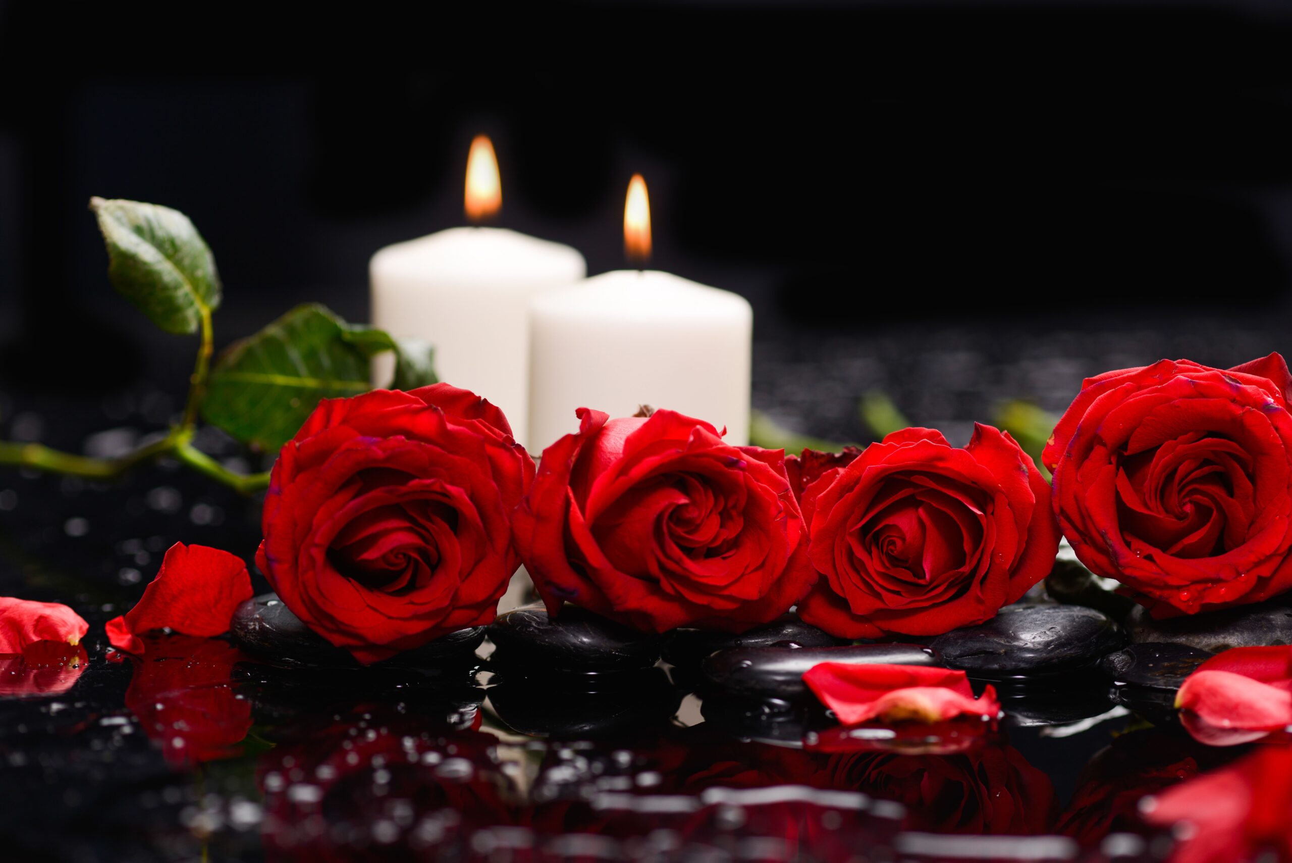 Red roses and scattered petals are arranged on black stones with two lit white candles in the background